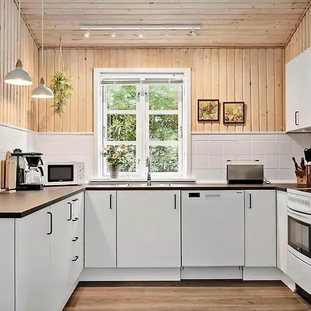 1093-ringkobing-fyrrealle-3 Nyaraló Nørby